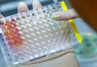 Как усовершенствовать лекарства от оспы — придумали в Новосибирске